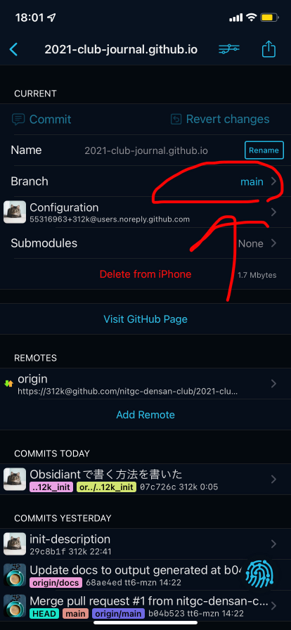 Change branch name